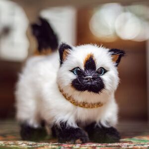 The Queen's Treasures Siamese Kitty Cat Pet For 18 Inch Dolls